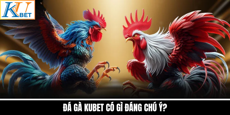Đá Gà Kubet Có Gì Đáng Chú Ý?