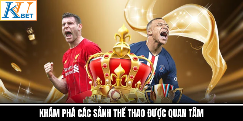 Khám Phá Các Sảnh Thể Thao Được Quan Tâm